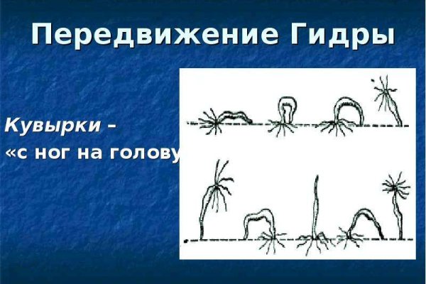 Официальный сайт kraken kraken clear com