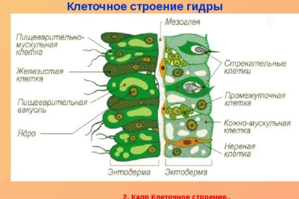 Площадка кракен kraken clear com