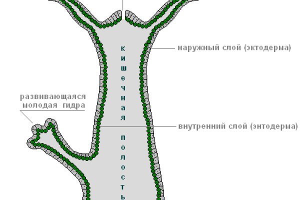 Мега зеркала тор онион мориарти кракен