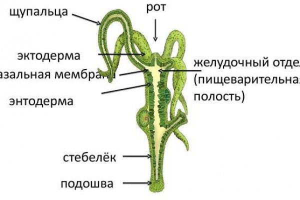 Кракен 12at сайт